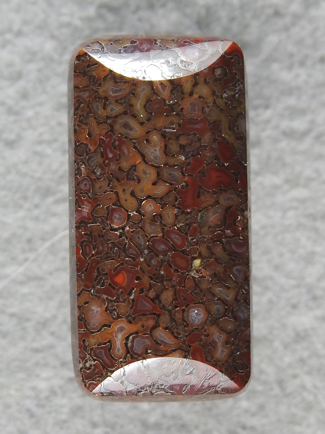 Dino Bone 2143 : Given to my sister for jewelry use.