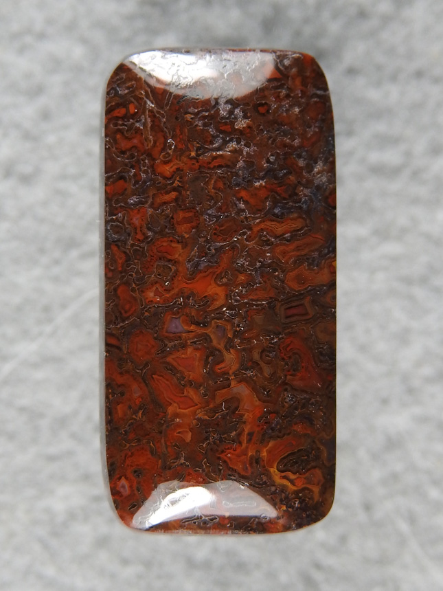 Dino Bone 2144 : Given to my sister for jewelry use.