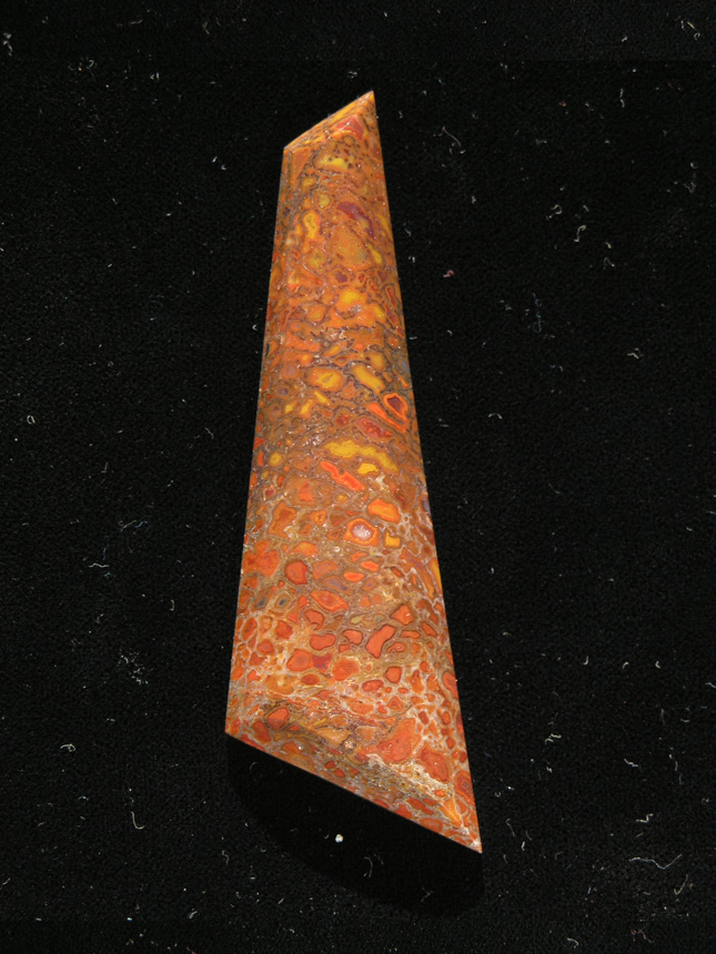 traded Dino Bone 389T  :  Photo'd on the fly in direct sun so the stone has a yellowish/orange hue.  Can't retake due to traded last year.