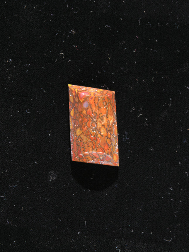 traded Dino Bone 392T  :  Photo'd on the fly in direct sun so the stone has a yellowish/orange hue.  Can't retake due to traded last year.