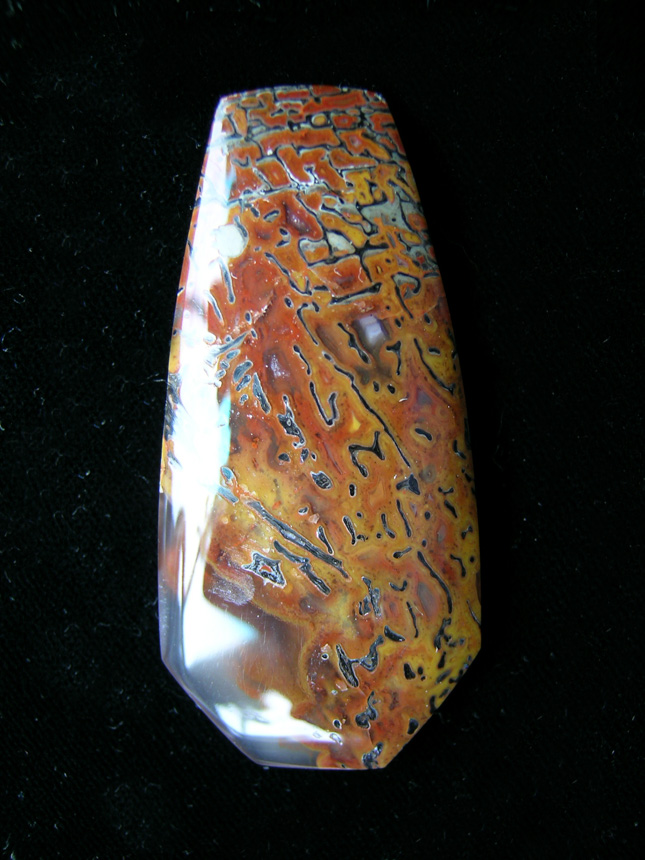 traded Dino Bone 397T  :  A small cab the clear is hard to find in Dino Bone.