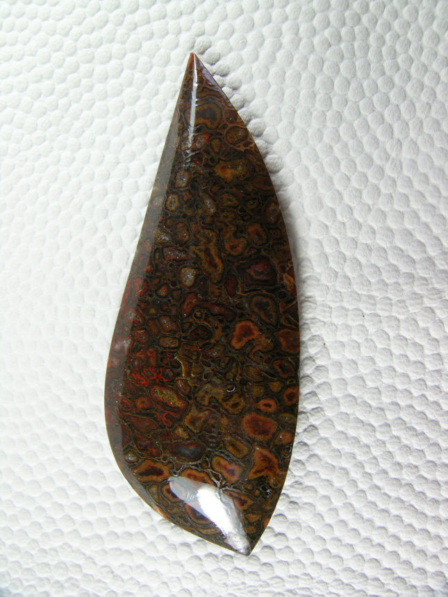 traded Dino Bone 398T  :  Large cells and multi colors.