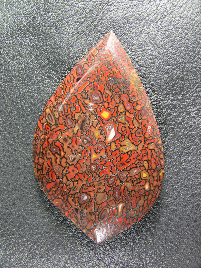 traded Dino Bone 400T  :  A nice highly colored bone in a nice rounded tear drop.