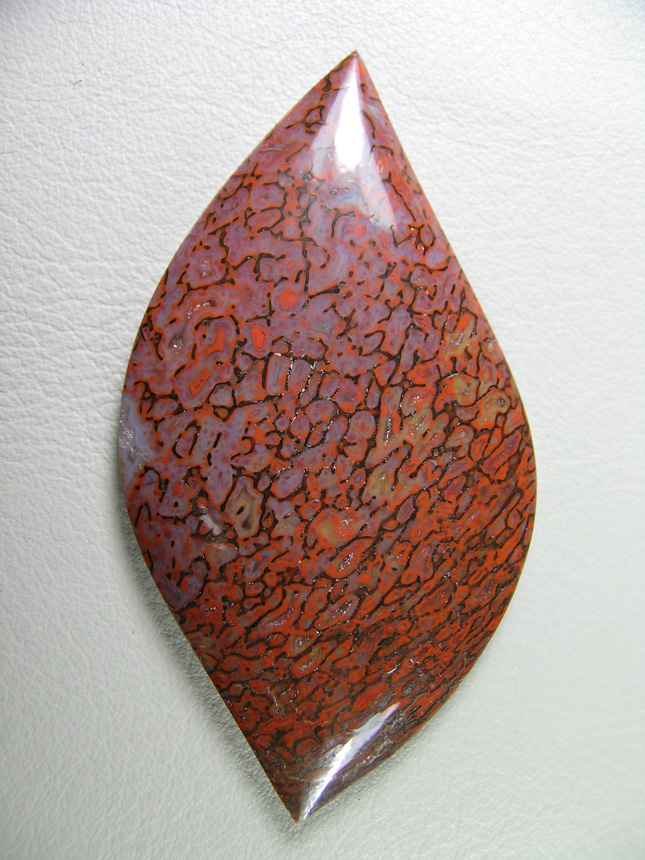 traded Dino Bone 402T  :  Another Fantastic Bone with the rare Purples mixed with the Reds.  A glossy finish tops this cab.