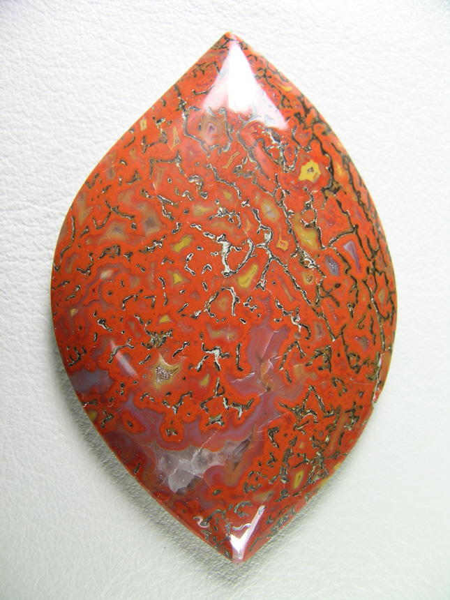 traded Dino Bone 404T  :  Such a bright Red Orange color.  There were 2 slabs of this bone and some great cabs as a result.  This stone also features some nice Yellow accents.