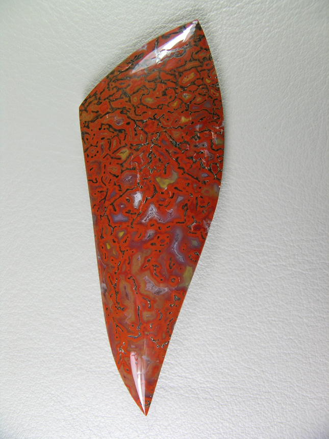 traded Dino Bone 405T  :  Bright Red, Orange and Yellow colors.  A nice curved designer cab.  There were 2 slabs of this bone and some great cabs as a result.