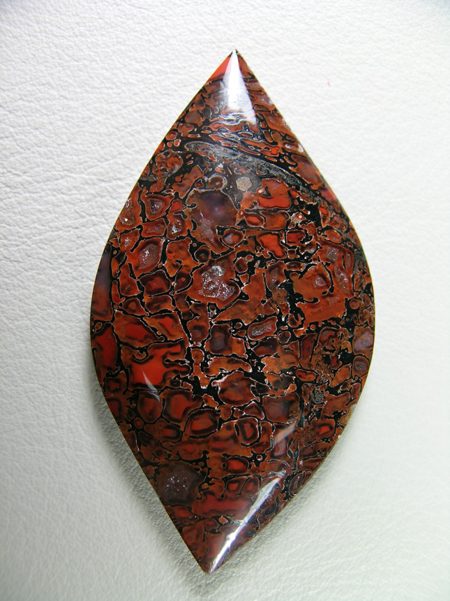 traded Dino Bone 406T  :  This piece is solid and almost no under cutting on the cells.  A great example  of top grade bone.