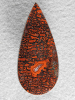 Dino Bone 1901 : What a stone.  Top quality Dino Bone in bright reds and blacks with a rare fortification in the center.