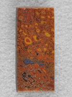 Dino Bone 1904 : A great rectangle of Gem Bone with Yellows, Reds, Orange and even a hint of Black.  A beautiful stone in sought after colors.