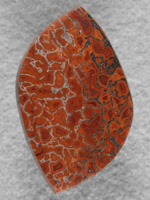 Dino Bone 1905 : Oranges and Reds in the top Dino Bone.