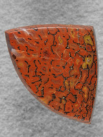 Dino Bone 1906 : Redish Orange with some nice Gold cells in this triangle cut.  A very pretty stone.