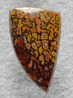 Dino Bone 1907 : Not huge but perfect for jewelry and WOW what colors.  This is in the top percent of Gem Bone. So nice and look at the polish.