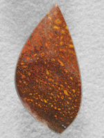 Dino Bone 1910 : Browns, Yellow and Oranges grace this lovely cab.  Tight cell structure.