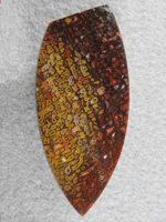 Dino Bone 1912 : Just look at those colors!  It doesn't get much better than this.  Such a quality stone in this long badge.