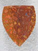 Dino Bone 1913 : Bright Orange Browns and Yellows. Some of the top Gem Bone here.