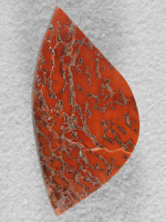 Dino Bone 1916 : This slab was so agatized, what a treat to cut.  Gem Bone.