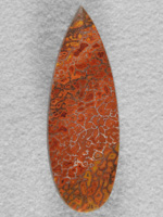 Dino Bone 1917 : More Oranges and Reds in this long tear drop.  A top grade of Dino Bone.