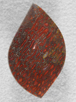 Dino Bone 1918 : The cells have such great clarity.  Top grade stone of Dino Bone here.