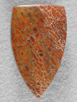 Dino Bone 1919 : Just look at the Golds and Oranges in this Autumn colored beauty.