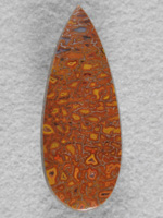 Dino Bone 1921 : Super high end cab with top colors.  Oranges, Reds and Yellows in this sharp stone.