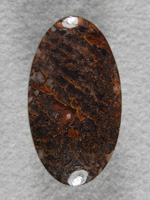 Dino Bone 1925 : Sooo Gemmy.  Light passes right through these cells. Very rare Skeletal Dino Bone.