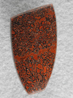 Dino Bone 1926 : Tight cells in very high quality Gem Bone.  A beautiful stone.