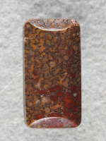 Dino Bone 2142 : Given to my sister for jewelry use.