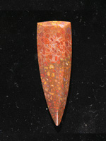 traded Dino Bone 388T  :  Photo'd on the fly in direct sun so the stone has a yellowish/orange hue.  Can't retake due to traded last year.