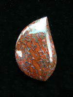 traded Dino Bone 394T  :  Large cells in this small Dino cab and very gemmy.