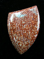 traded Dino Bone 395T  :  Red and White is more common colors in Dino but this is highly agatized.