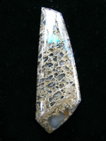 traded Dino Bone 396T  :  A latice Bone with beautiful cell structure.  The light just flows thru this piece.