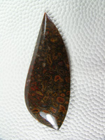 traded Dino Bone 398T  :  Large cells and multi colors.