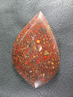 traded Dino Bone 400T  :  A nice highly colored bone in a nice rounded tear drop.