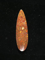 traded Dino Bone 401T  :  Photo'd on the fly in direct sun so the stone has a yellowish/orange hue.  Can't retake due to traded last year.
