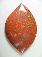 traded Dino Bone 404T  :  Such a bright Red Orange color.  There were 2 slabs of this bone and some great cabs as a result.  This stone also features some nice Yellow accents.