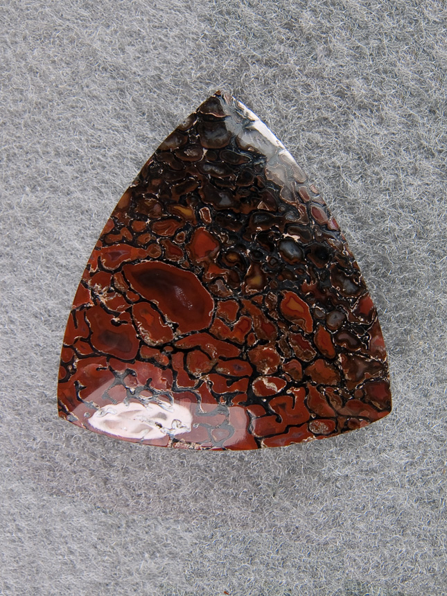 Traded Dinosaur Bone 1188T  :  description