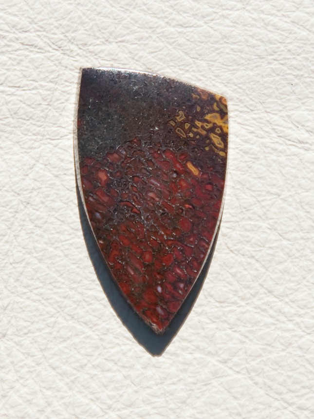 Traded Dinosaur Bone 1310T  :  description