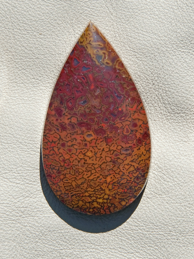 Traded Dinosaur Bone 1314T  :  description