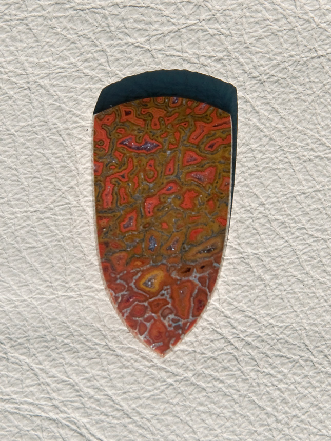 Traded Dinosaur Bone 1316T  :  description