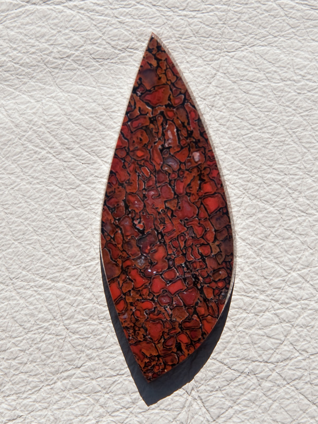 Traded Dinosaur Bone 1317T  :  description