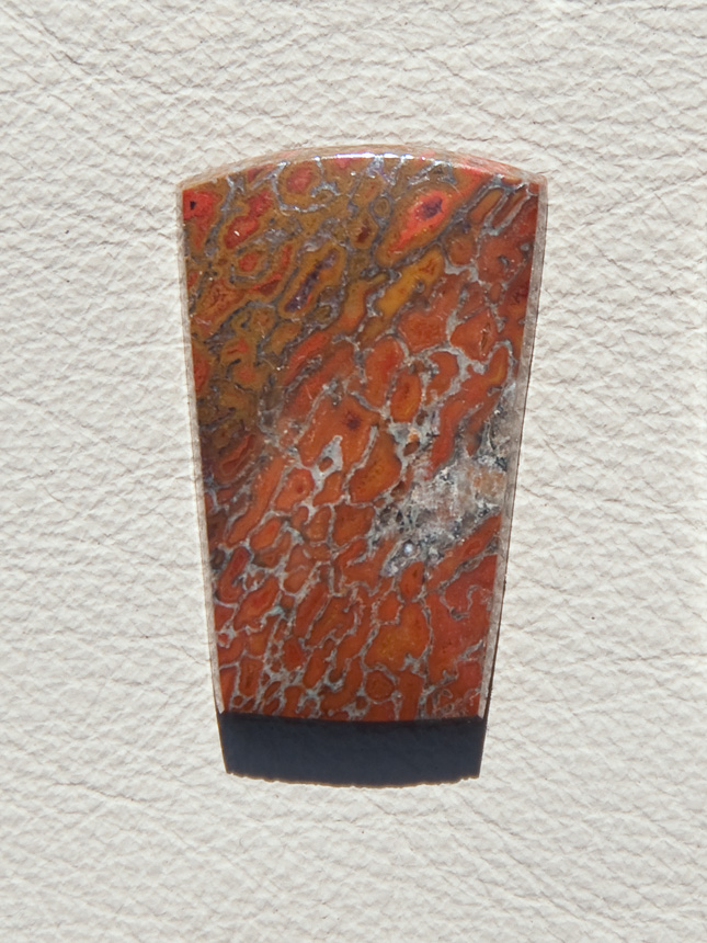 Traded Dinosaur Bone 1327T  :  description