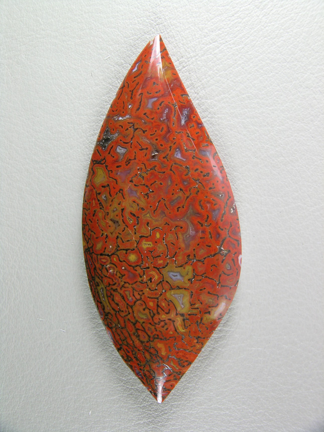traded Dino Bone 412T  :  Such a bright Red Orange color.  There were 2 slabs of this bone and some great cabs as a result.  This stone also features some nice Yellow accents.