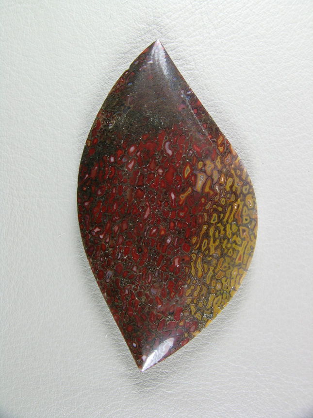 traded Dino Bone 413T  :  More typical color patterns and with 3 separate color zones in a very pretty cut.