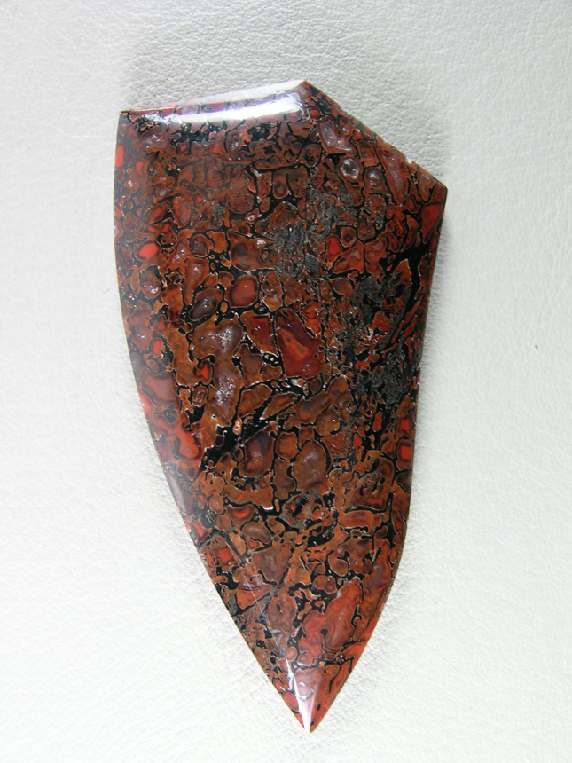 traded Dino Bone 415T  :  This piece is solid and almost no under cutting on the cells.  A great example  of top grade bone.