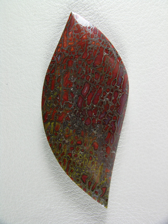 traded Dino Bone 416T  :  Beautifully cut shape of highly agatized Bone.  The std. Reds and Golds but a very pretty cab.