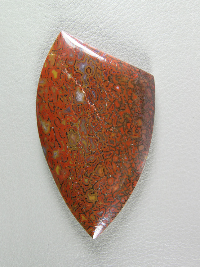 traded Dino Bone 418T  :  A more typical color pattern on Bone.