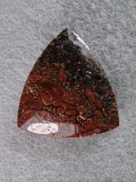 Traded Dinosaur Bone 1188T  :  description