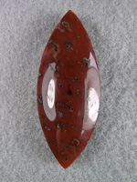 Traded Dinosaur Bone 1189T  :  description