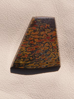 Traded Dinosaur Bone 1306T  :  description