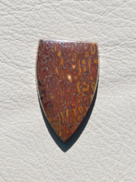 Traded Dinosaur Bone 1309T  :  description